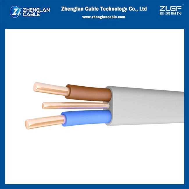 How can we use Twin&Earth Cable?