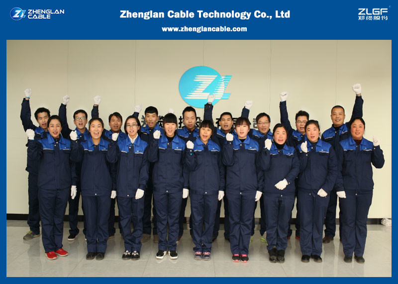 Do you know about the 17 kinds of certification for wire and cable export?