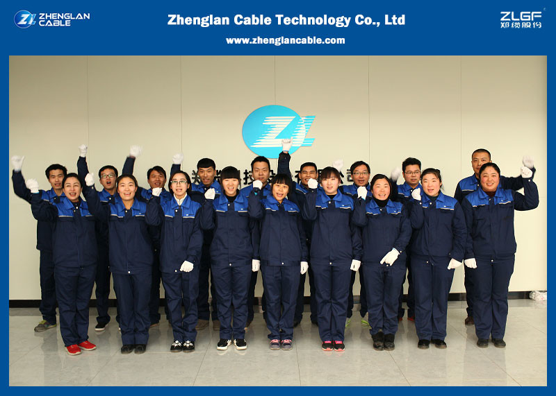 What are the main technical performances of overhead cables?