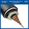 Non Magnetic STA Armored Power Cable Copper 1x70mm2 Xlpe Insulated PE Sheathed