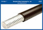 XLPE Insulation Overhead Cable / 10KV Single Core use as overhead power lines with the Code:16/25/40/63/100/125/160/200
