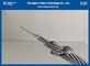 ACSR 300/25 Aluminum Power Cable Aluminum Conductor Steel Reinforced