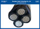 0.6/1kV ABC 2C*50sqmm Overhead Insulated Cable ISO 14001 2005